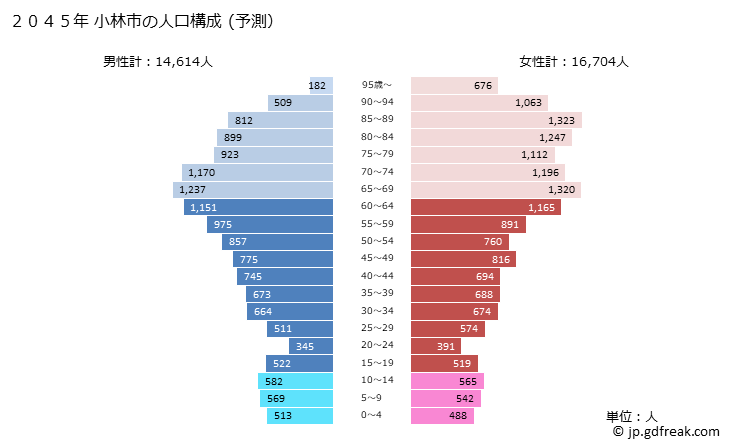 グラフ 小林市(ｺﾊﾞﾔｼｼ 宮崎県)の人口と世帯 2045年の人口ピラミッド（予測）