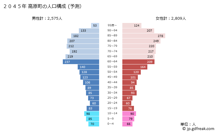 グラフ 高原町(ﾀｶﾊﾙﾁｮｳ 宮崎県)の人口と世帯 2045年の人口ピラミッド（予測）