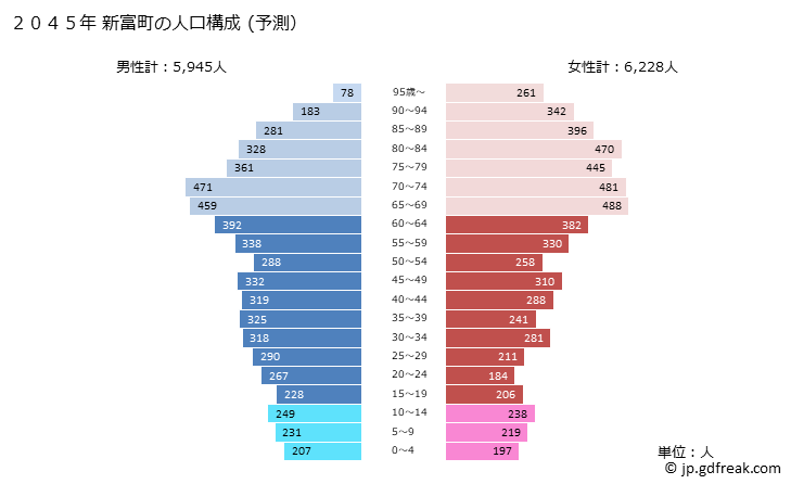 グラフ 新富町(ｼﾝﾄﾐﾁｮｳ 宮崎県)の人口と世帯 2045年の人口ピラミッド（予測）