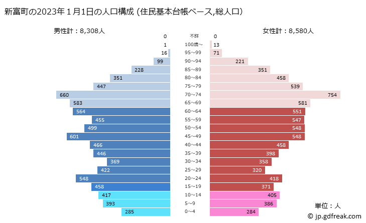 グラフ 新富町(ｼﾝﾄﾐﾁｮｳ 宮崎県)の人口と世帯 2023年の人口ピラミッド（住民基本台帳ベース）