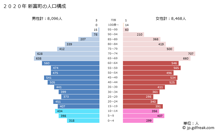 グラフ 新富町(ｼﾝﾄﾐﾁｮｳ 宮崎県)の人口と世帯 2020年の人口ピラミッド