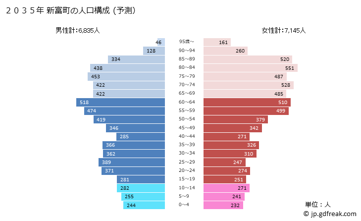 グラフ 新富町(ｼﾝﾄﾐﾁｮｳ 宮崎県)の人口と世帯 2035年の人口ピラミッド（予測）