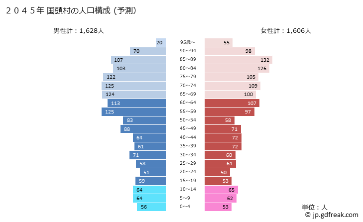 グラフ 国頭村(ｸﾆｶﾞﾐｿﾝ 沖縄県)の人口と世帯 2045年の人口ピラミッド（予測）