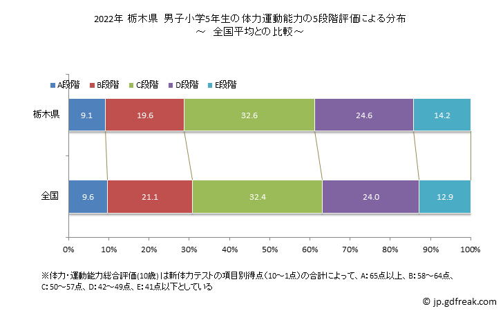グラフ 年次 2019年 栃木県 小学5年生の全国と比べた体力運動能力 2022年 栃木県　男子小学5年生の体力運動能力の5段階評価による分布