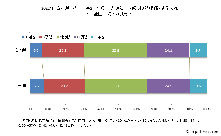 グラフ 年次 2019年 栃木県 中学2年生の全国と比べた体力運動能力 2022年 栃木県　男子中学2年生の体力運動能力の5段階評価による分布