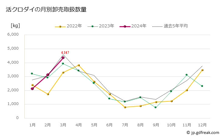 グラフ 豊洲市場の活クロダイ（黒鯛）の市況（月報） 活クロダイの月別卸売取扱数量