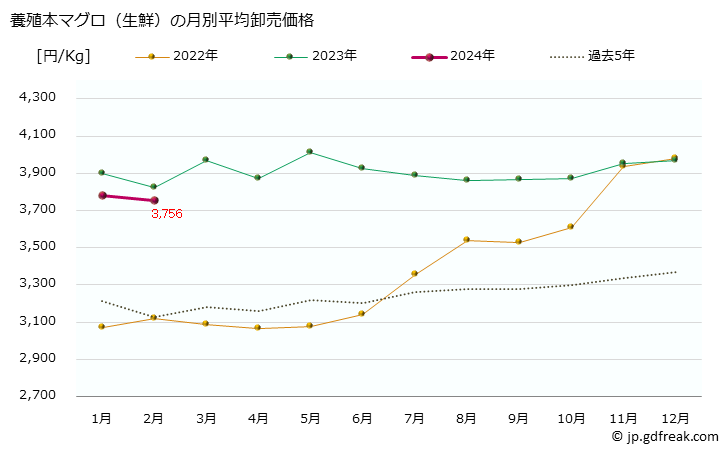 グラフ 大阪・本場市場の生鮮ホンマグロ(クロマグロ,黒鮪)の市況(値段・価格と数量) 養殖本マグロ（生鮮）の月別平均卸売価格