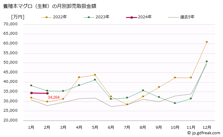 グラフ 大阪・本場市場の生鮮ホンマグロ(クロマグロ,黒鮪)の市況(値段・価格と数量) 養殖本マグロ（生鮮）の月別卸売取扱金額